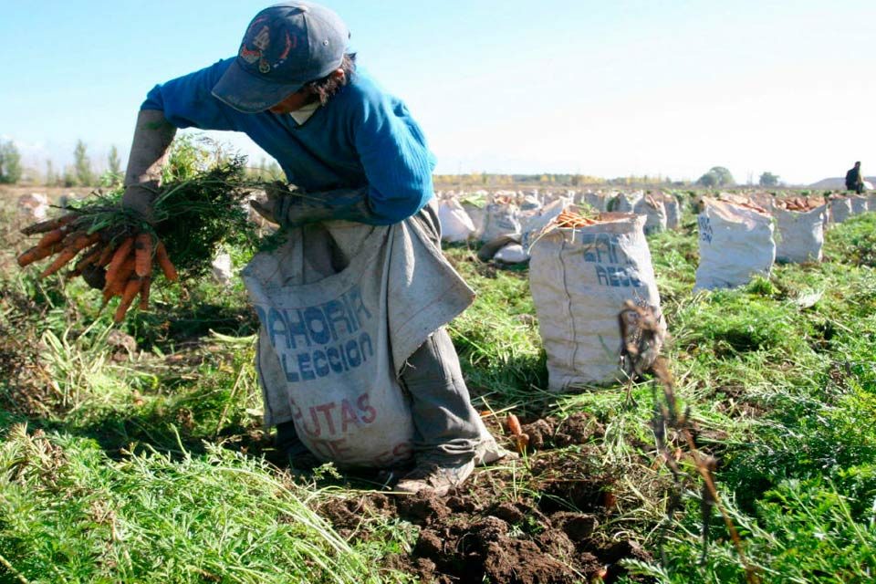 Fedeagro exigió medidas por daños causados por las lluvias en los campos