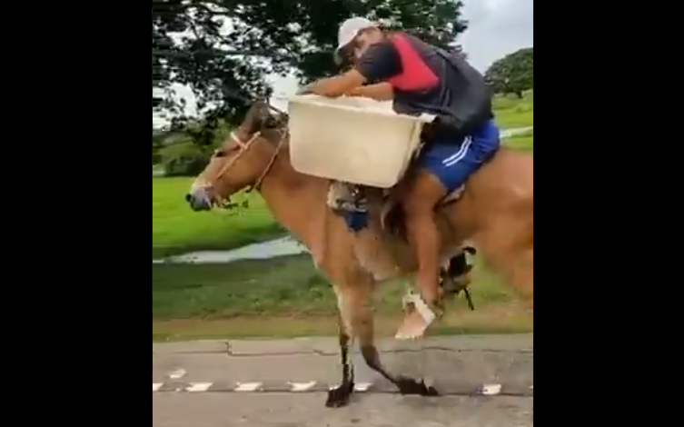 Productores de Apure transportan el queso con formas arcaicas ante la falta de gasolina (VIDEO)