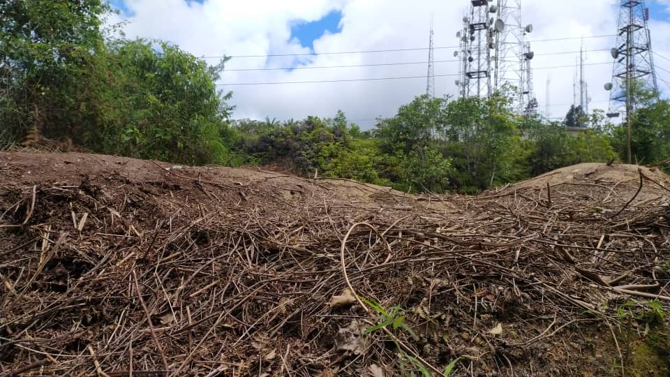 Ecocidio en El Hatillo: Deforestaron zonas del Cerro El Volcán (Video)