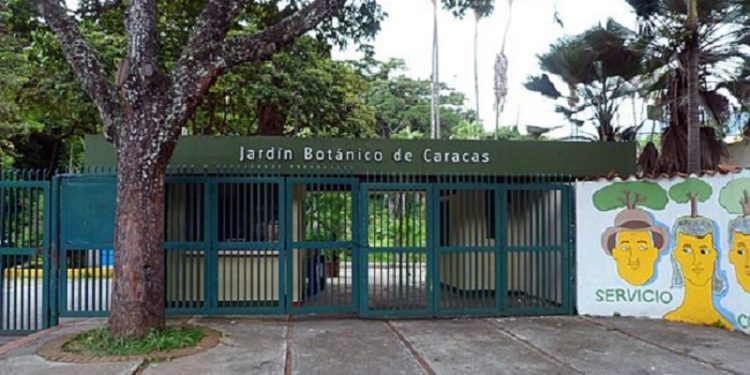 El Jardín Botánico de la UCV: Otra institución víctima del vandalismo y la destrucción (Fotos)