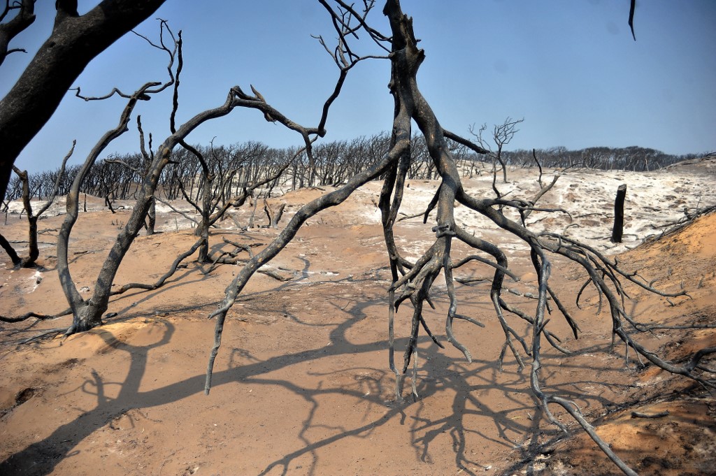 Al menos seis migrantes, entre ellos cuatro niños, encontrados muertos en desierto de Túnez