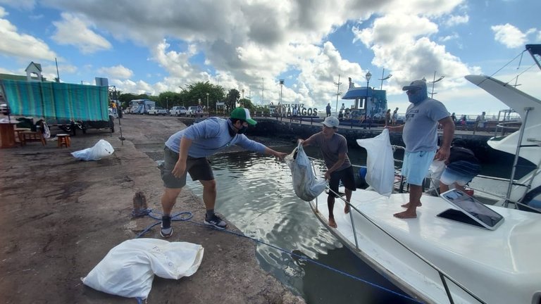 Recolectaron una tonelada y media de desechos en las islas ecuatorianas de Galápagos (FOTOS)