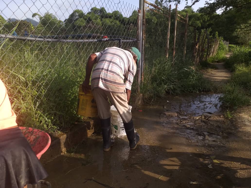 En Bejuma, vecinos caminan más que un camello para abastecerse de “un chorrito” de agua