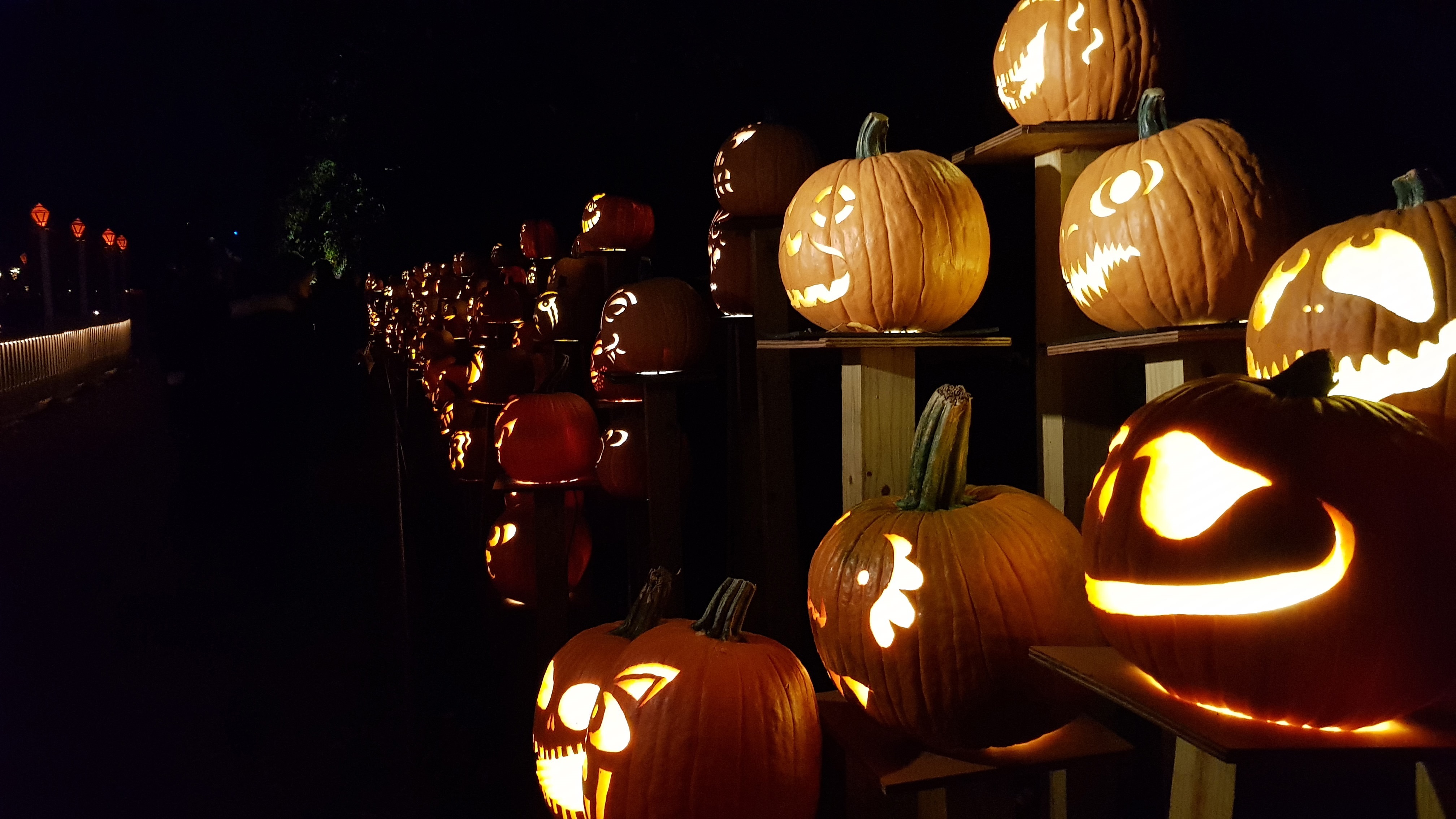 Halloween, el reinado de la calabaza