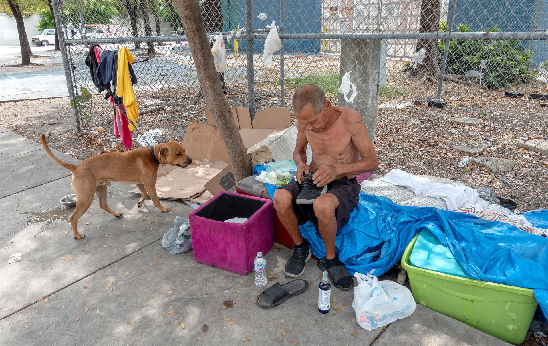 Miami declaró ilegales los campamentos para desamparados