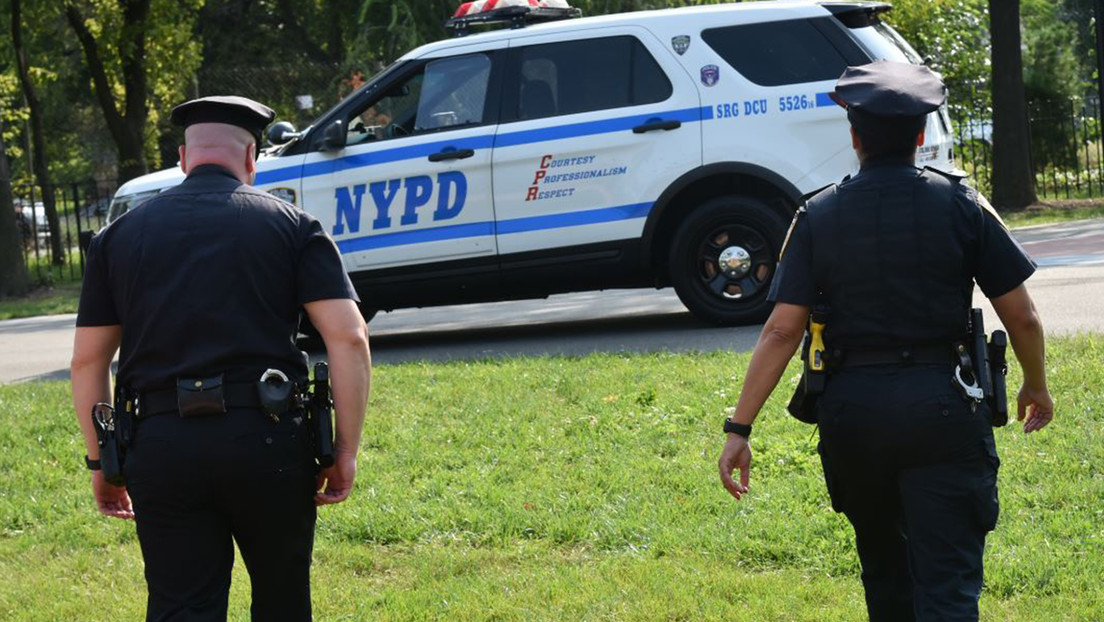 Un hombre se sube a la cima de un árbol en Nueva York y se niega a bajar huyendo de la Policía (VIDEO)