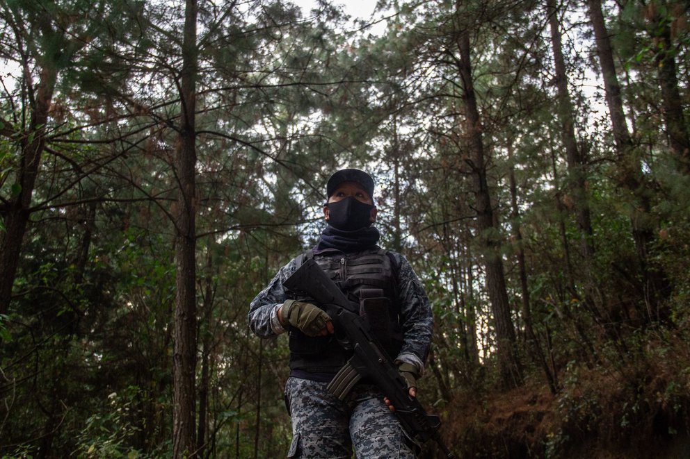 Cómo el narcotráfico llegó a manejar el 30% de la industria de la madera en México