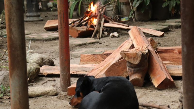 Sin gas, pero con mucha leña: El chavismo remonta a los aragüeños a la era de las cavernas