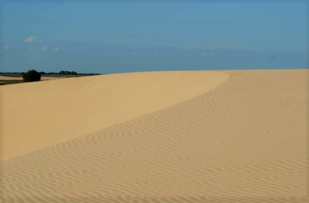 Los Médanos de la Soledad