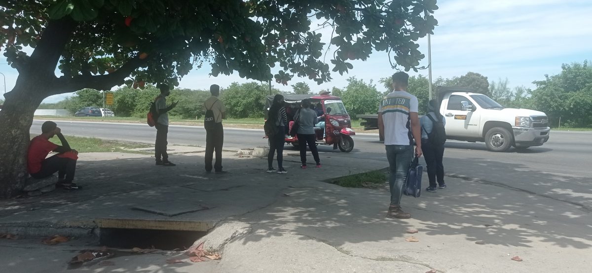 Transportistas de Puerto Cabello consideran que “DracuTaxis” no solucionan problemas de movilidad