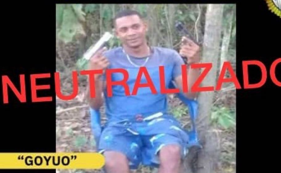 Neutralizado alias “Goyuo”, sujeto implicado en el homicidio de dos Cicpc en Catia