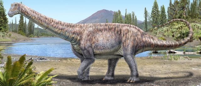 Descubren en Chile una nueva y enigmática especie de dinosaurio acorazado