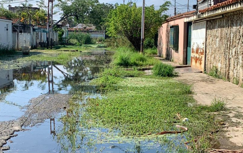 Vómitos con sangre, parásitos y ronchas en la piel: alarma en Mata Redonda por misteriosas infecciones