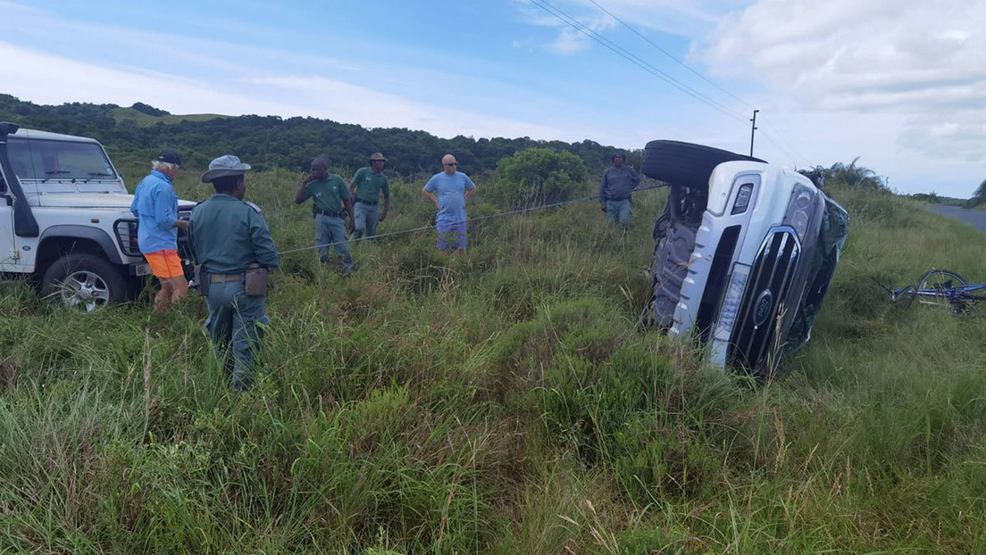 Elefante enfurecido volcó un auto con una pareja y dos niños en Sudáfrica (Video)