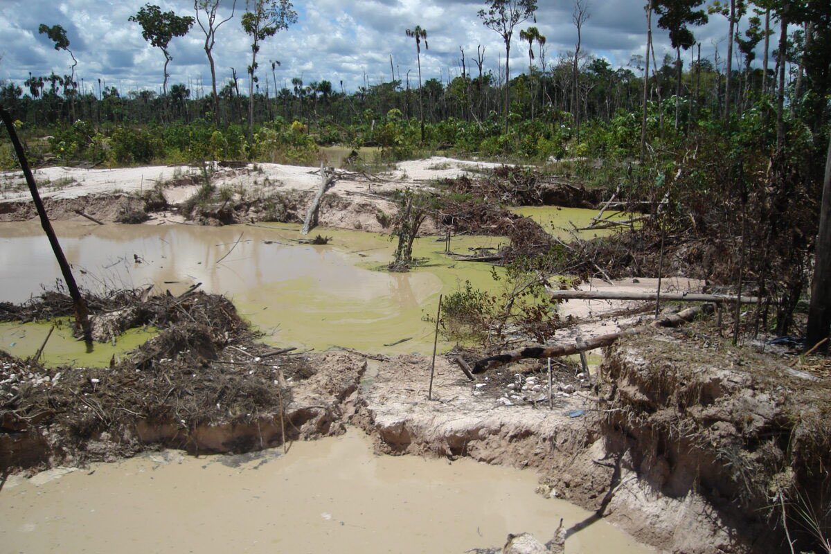 Impresionante: Así el chavismo ha permitido que el ELN y las Farc destruyan el Amazonas (FOTOS)