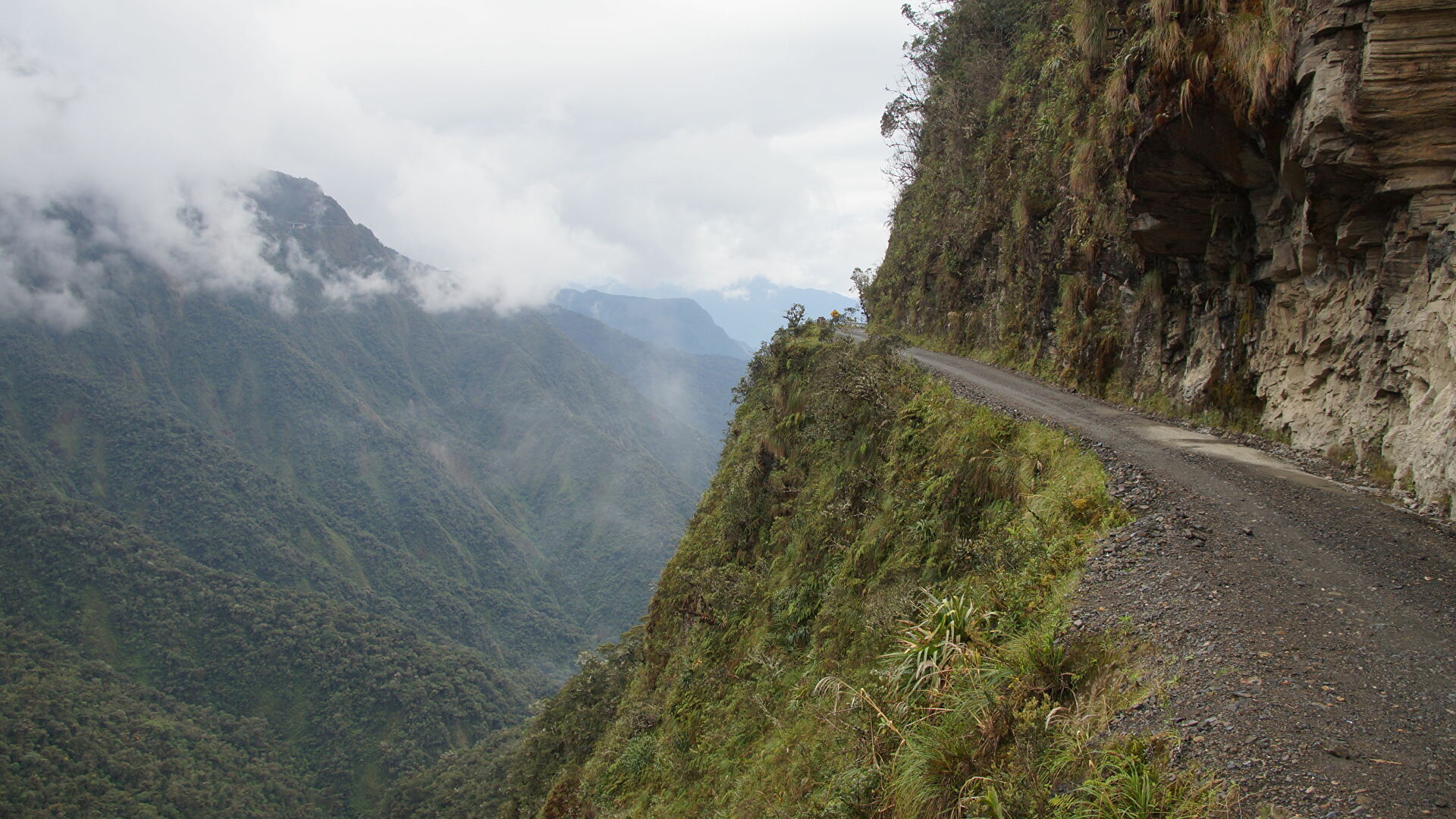 Conmoción en Perú: Al menos 20 muertos y 33 heridos tras accidente de autobús al caer por un abismo