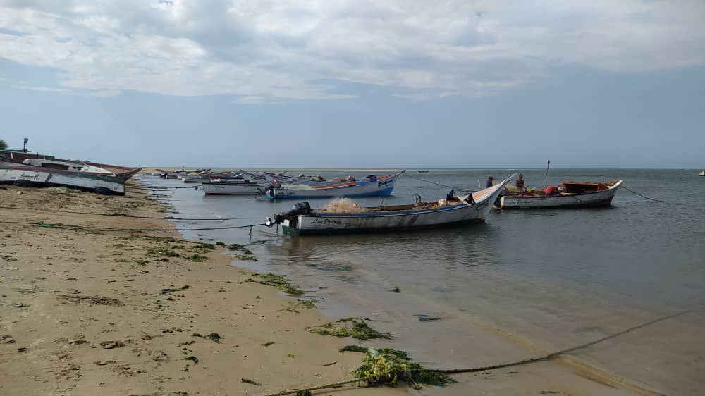 Pescadores de Falcón pagan 10 dólares por cada cupo del Sistema Patria