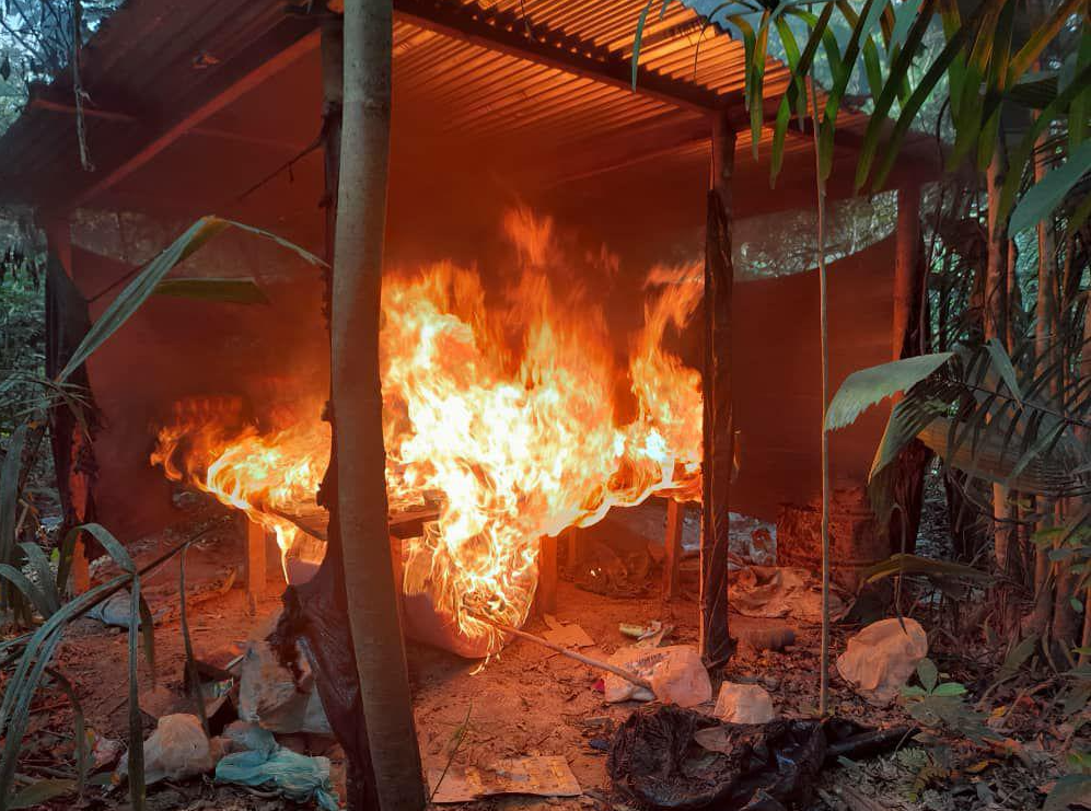 Imágenes: Campamento guerrillero en Apure producía 10 toneladas de cocaína al mes