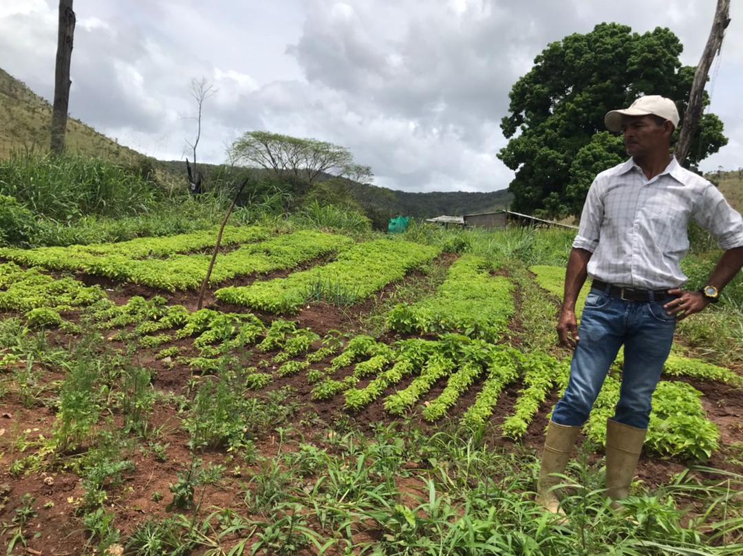 El sector ganadero de Bolívar, quebrado por la crisis de combustible y la falta de financiamiento