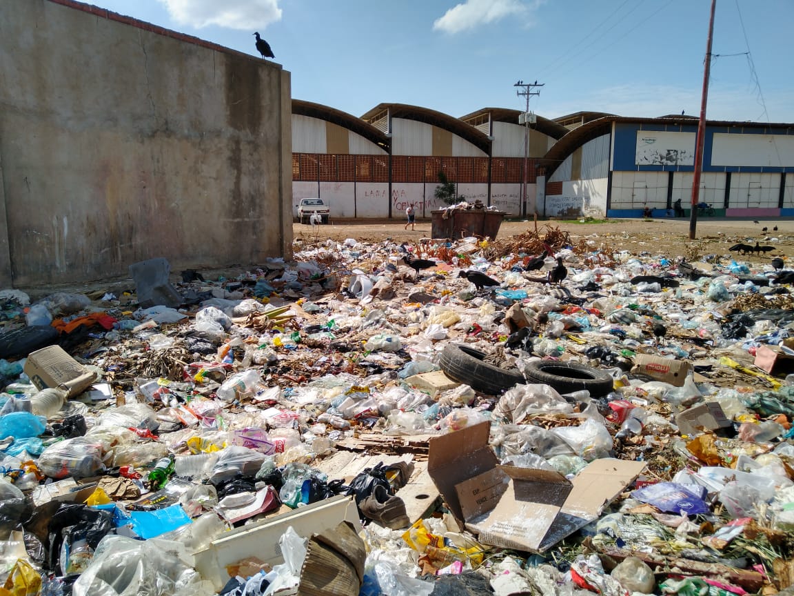 Basura y zamuros: la “compañía” de los trabajadores del mercado de Tronconal III en Barcelona (Fotos)