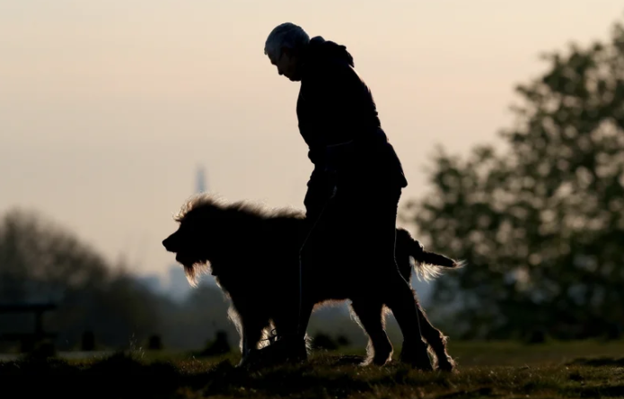 La materia fecal de los perros en los parques urbanos puede ayudar al ecosistema