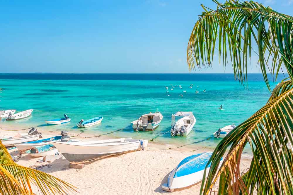 Todo lo que debes saber para llegar a Los Roques en ferry