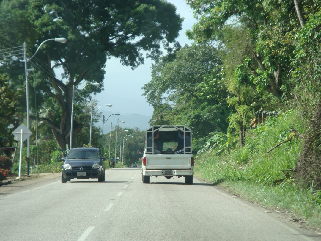 Transitar por las vías agrícolas y puentes en Monagas es una guillotina para los productores