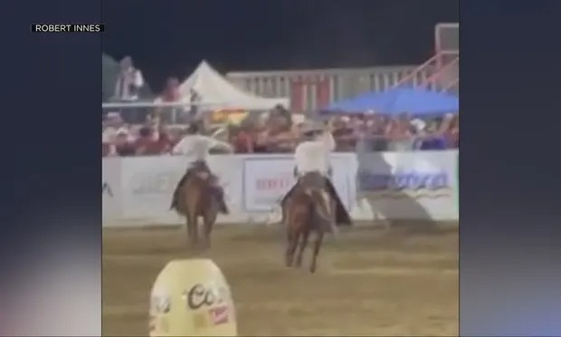 Terror en California cuando un toro saltó la cerca de un rodeo e hirió a varias personas (VIDEO)