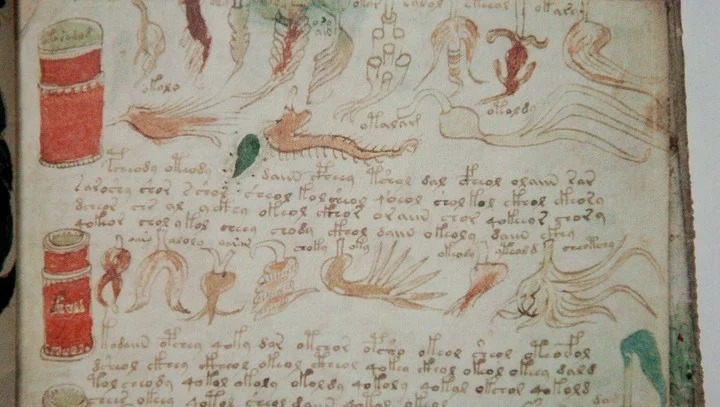 El enigma del manuscrito más antiguo del mundo, que nadie pudo descifrar en 110 años