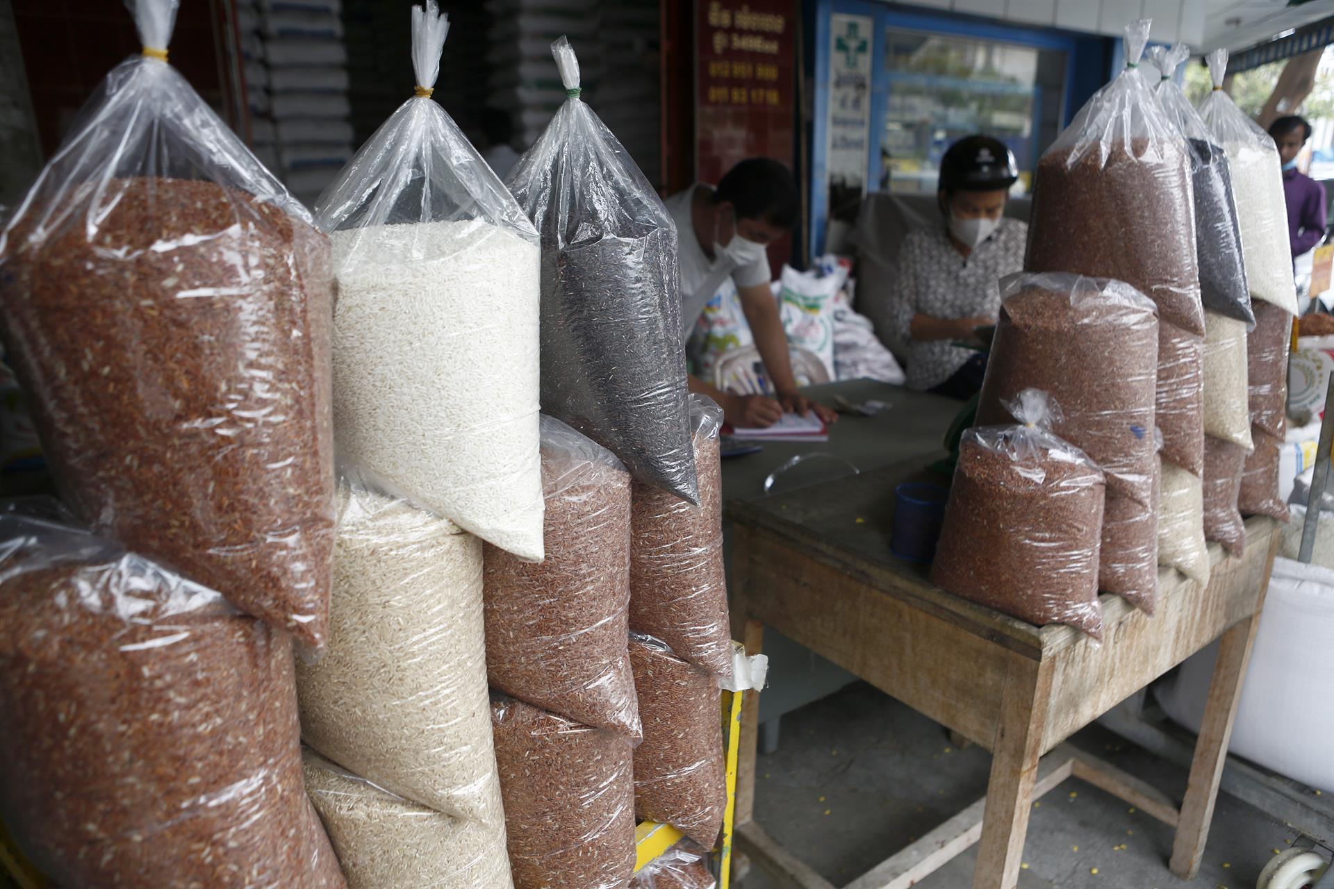 Un nuevo gen que puede mejorar la resistencia del arroz a la sequía