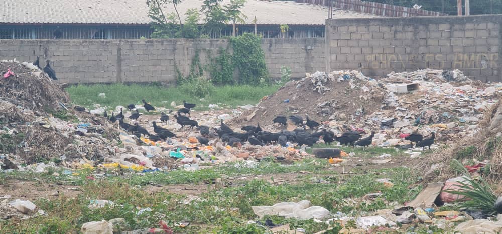 La basura y los zamuros ganaron terreno en el centro de Valle de la Pascua