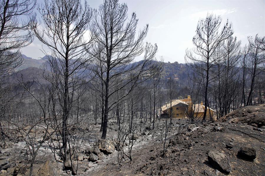 Riesgos de incendios en el mundo aumentaron: en el Mediterráneo se duplicaron los últimos 40 años