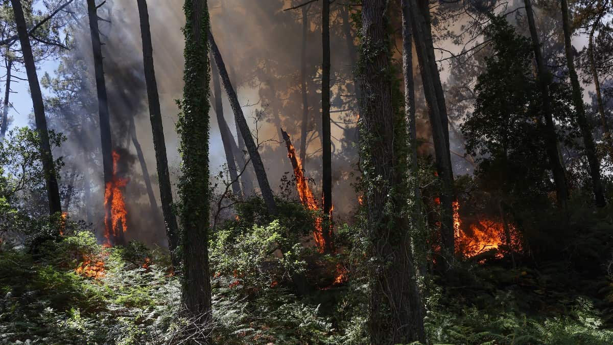 Evacuaron a miles de personas del sudoeste de Francia por los incontrolables incendios forestales