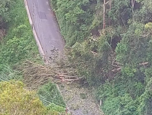 Zonas de San Antonio de Los Altos sin luz tras la caída de un árbol sobre el tendido eléctrico #8Jul (FOTO)