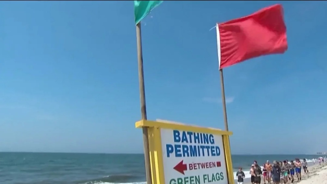 ¡Peligro! Nuevo ataque de tiburón obligó al cierre de popular playa en Nueva York