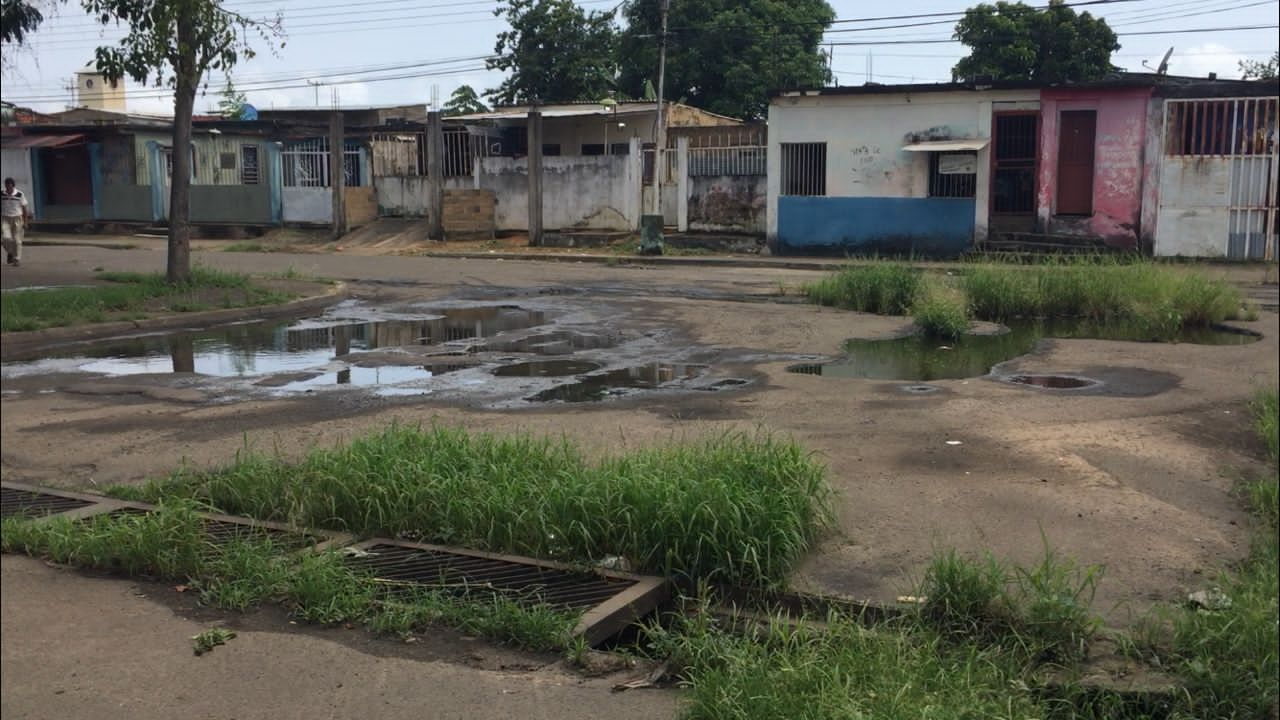 En un barrio de Bolívar viven entre cloacas y excremento en las calles (FOTOS)