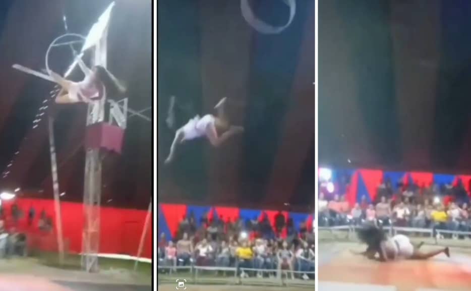 Circo de sustos en Barinas: intentó una acrobacia y se resbaló del aro… la caída conmocionó a todos (VIDEO)