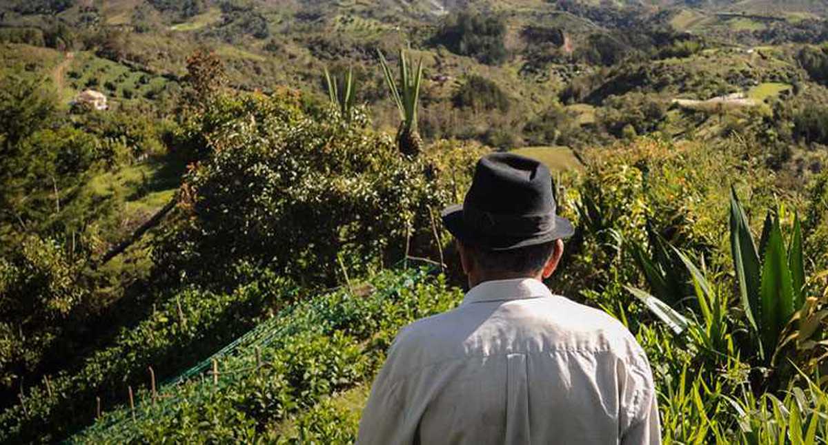 Le cayeron 10 años de prisión a dos sujetos por homicidio de un agricultor en Carabobo