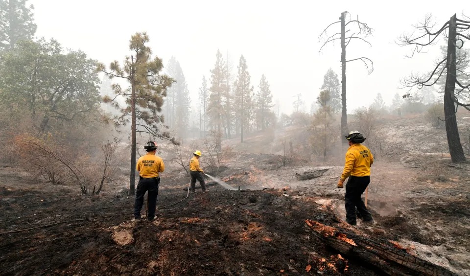 Intentó quemar a una araña, pero provocó un incendio forestal en Utah