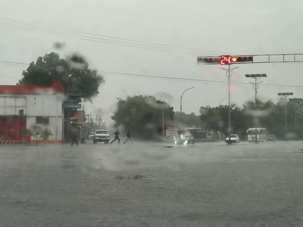 Fuertes precipitaciones dejaron inundaciones y árboles caídos en varias zonas de Aragua (FOTOS)