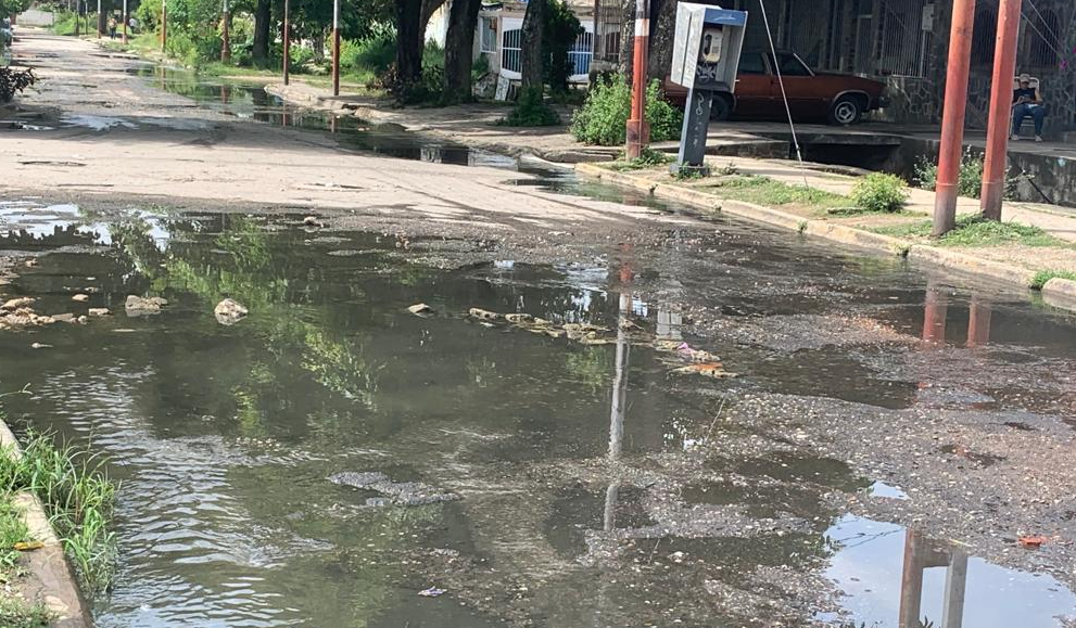 Colapso total por aguas contaminadas en un sector de Caña de Azúcar, Aragua (Fotos)