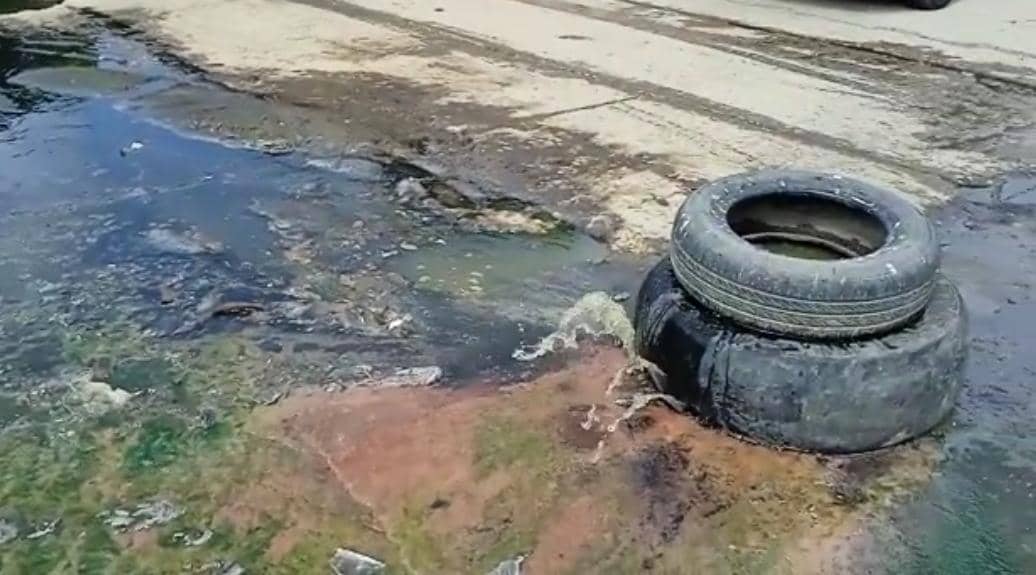 Alertan sobre aumento de casos de paludismo en sector El Peñón de Cumaná: “Desde hace un año no fumigan”