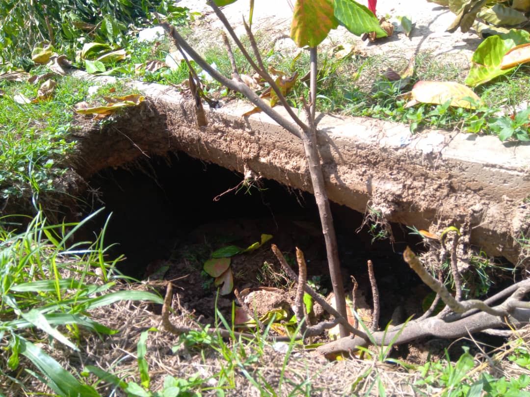 En comunidad de Bejuma la tierra se abrió de la noche a la mañana cerca de una escuela (FOTOS)