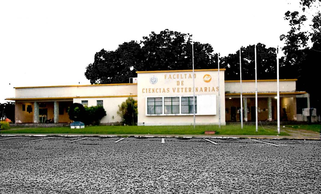 Hospital Veterinario de la UCV en Maracay ofrece atención primaria a mascotas de El Castaño