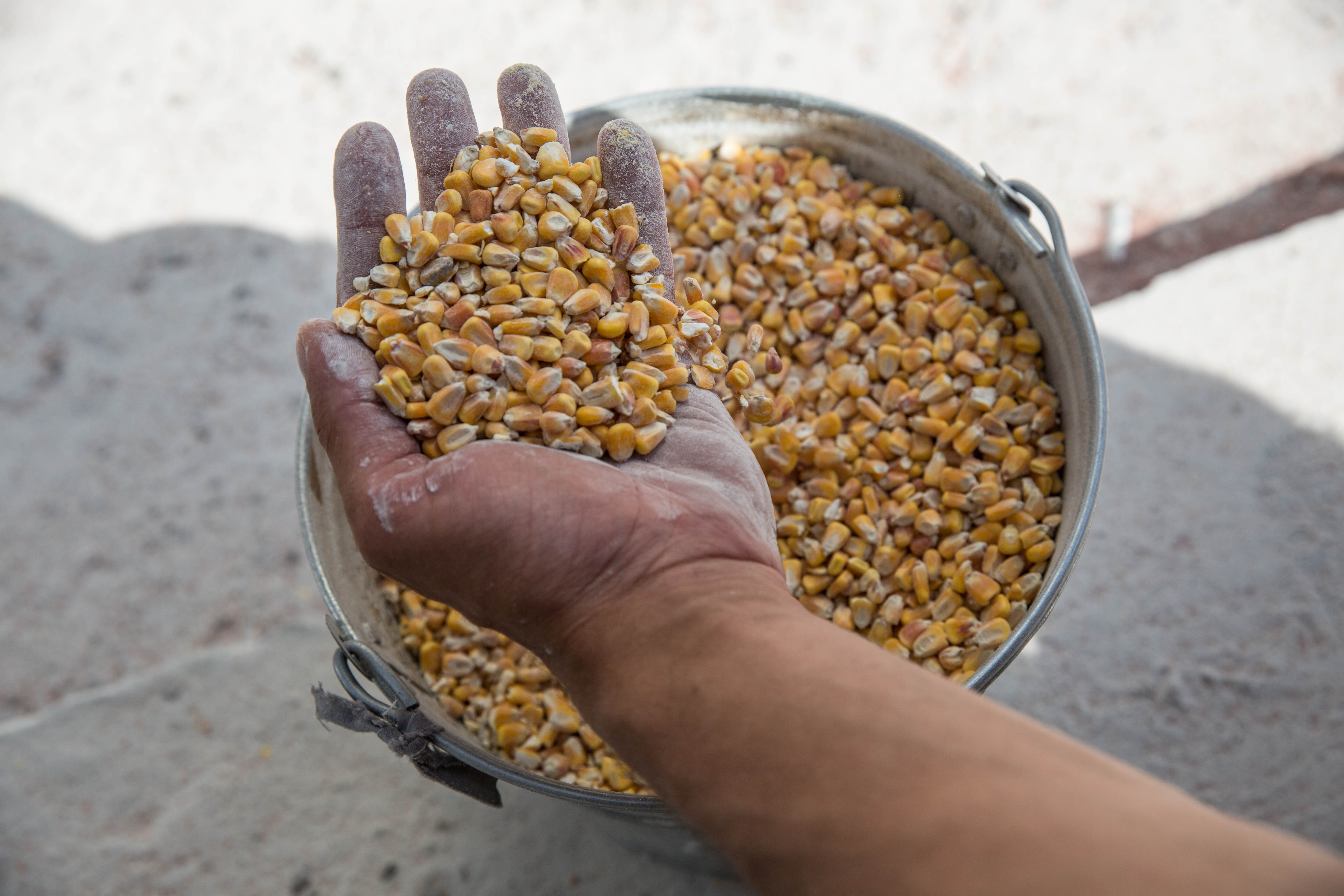 La ONU afirma que siguen negociaciones para acuerdo de cereal en el mar Negro