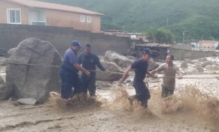 Hallaron con vida a Toby, el perrito reportado desaparecido en El Castaño (FOTO)