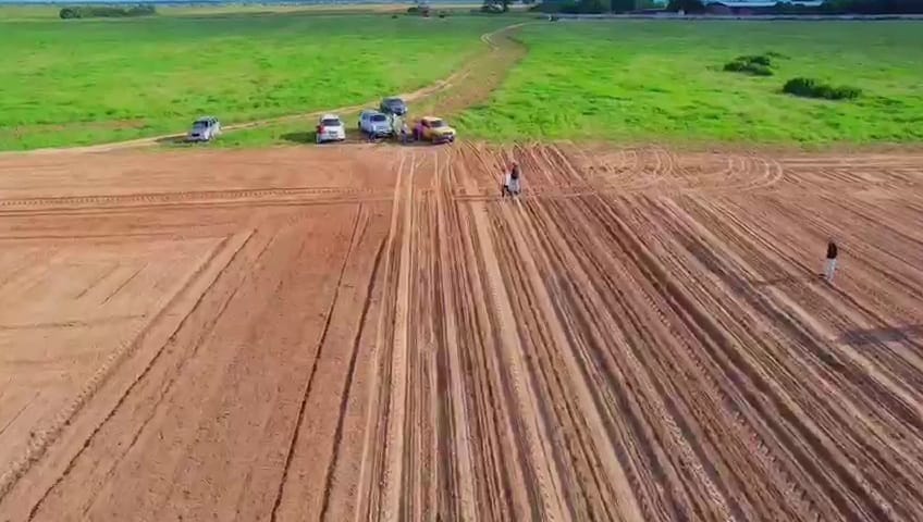 Productores de maní en El Tigre estarán exonerados de pagar impuestos