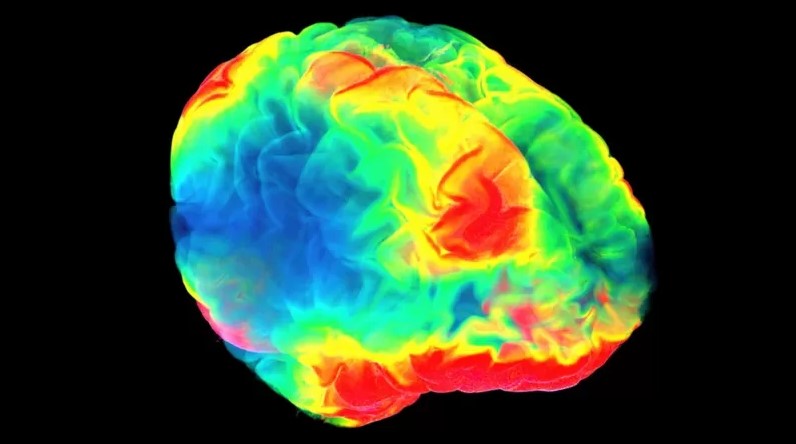 Qué nos enseña la neurociencia sobre el placer y por qué podemos desear algo que nos disgusta