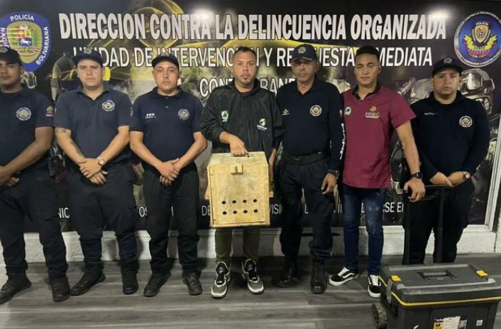 Rescataron a un cunaguaro en el barrio El Limón y lo trasladaron al Zoológico de Caricuao