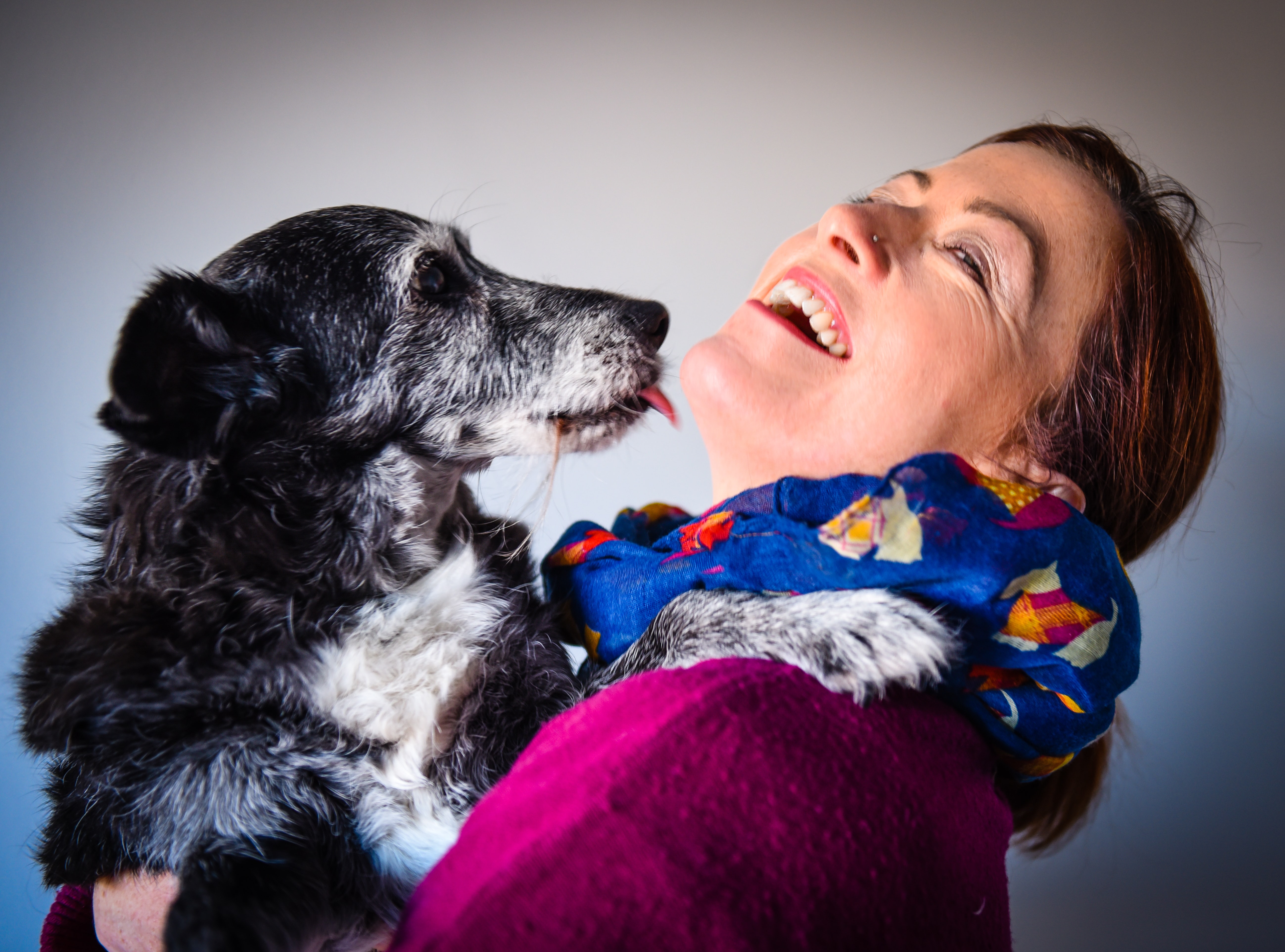 ¿Por qué no deberías dejar que tu perro te lama en la cara?